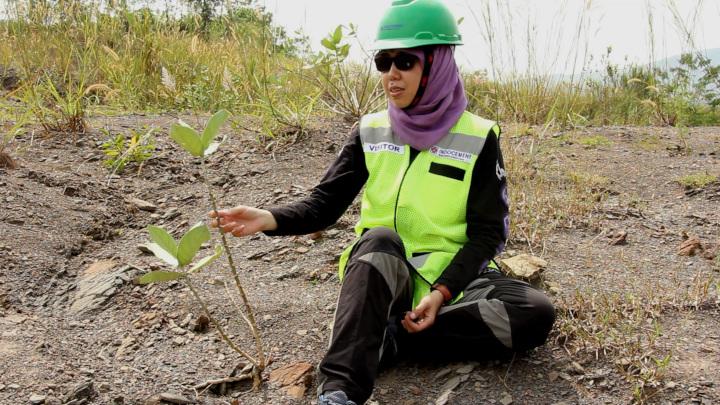 Exploring Calotropis gigantea’s Potential as a Cost-effective Ameliorant in Clay Pit Rehabilitation, Episode 1: Introduction