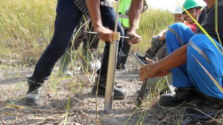 Exploring Calotropis gigantea’s Potential as a Cost-effective Ameliorant in Clay Pit Rehabilitation, Episode 5: Reflections on Data Collection