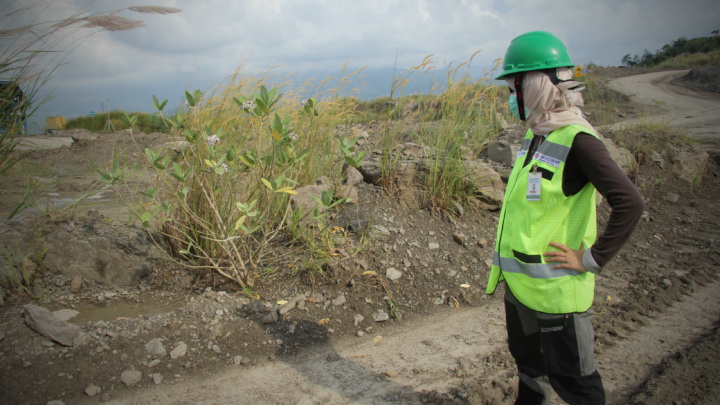 Exploring Calotropis gigantea’s Potential as a Cost-effective Ameliorant in Clay Pit Rehabilitation, Episode 2: Surveying