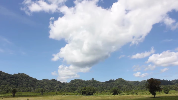 Where the Banteng Roam