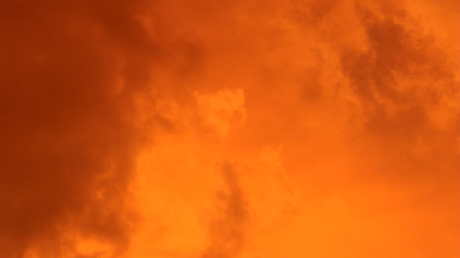 Orange Sunset, One