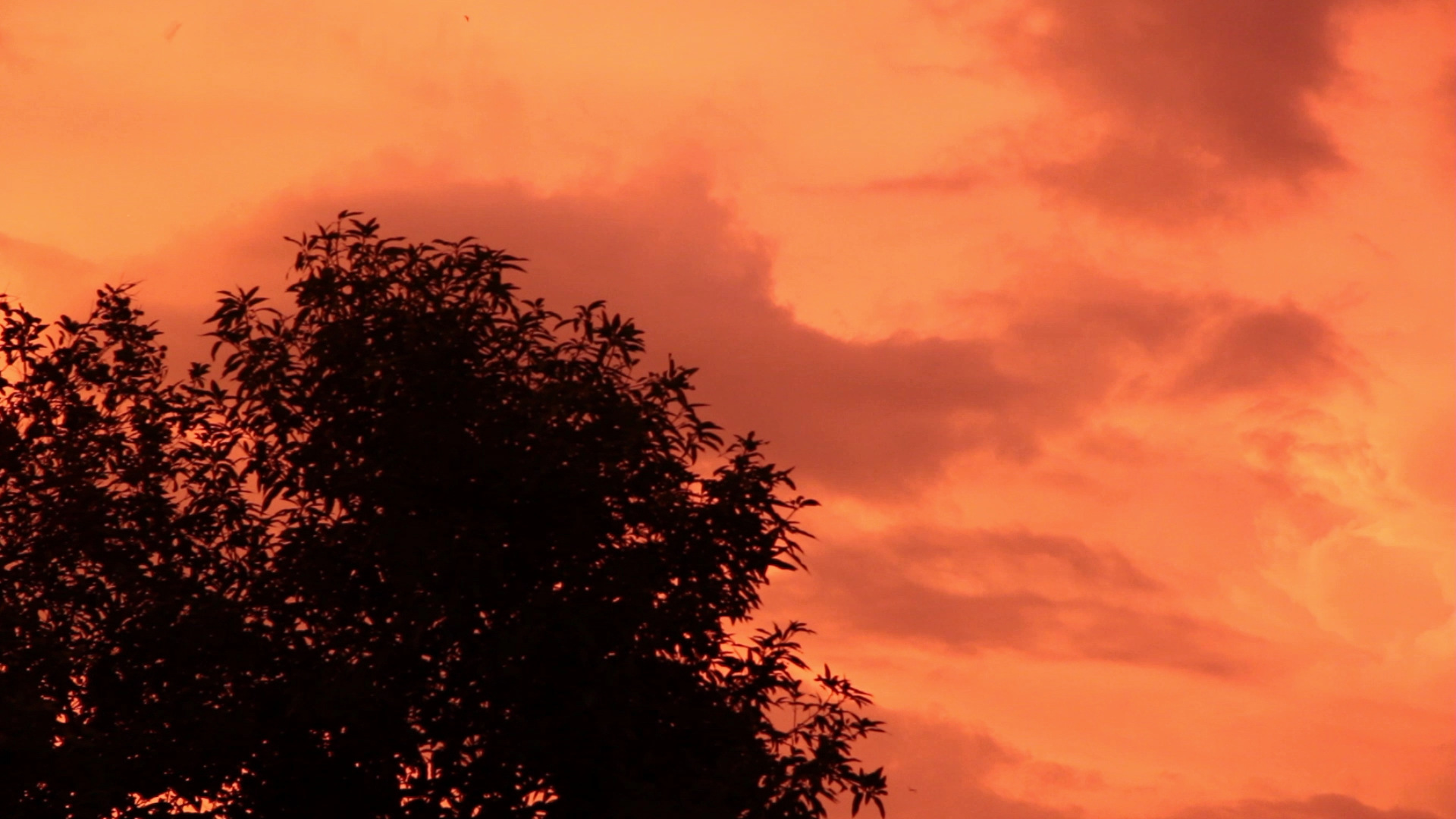 Orange Sunset, Two