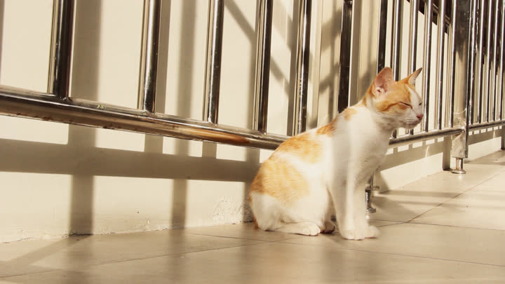 Iis in a Faculty of Biology Building