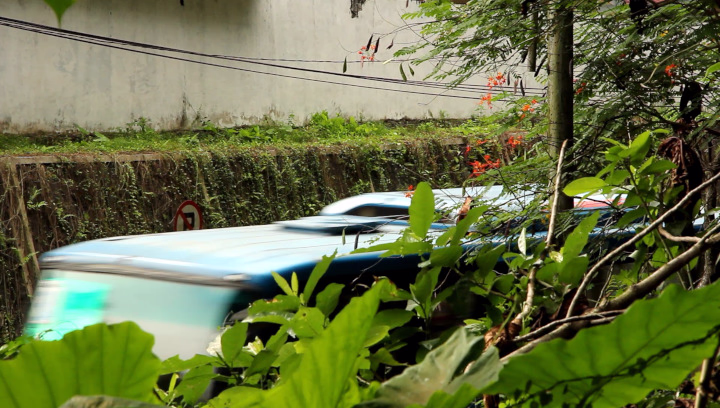 Jalan Kesehatan from Kebun Biologi, One