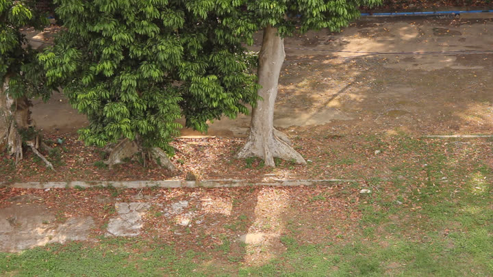 Looking Down at Faculty of Biology Road