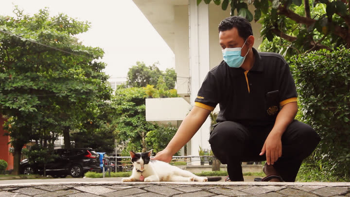 Rury Pets Bessey