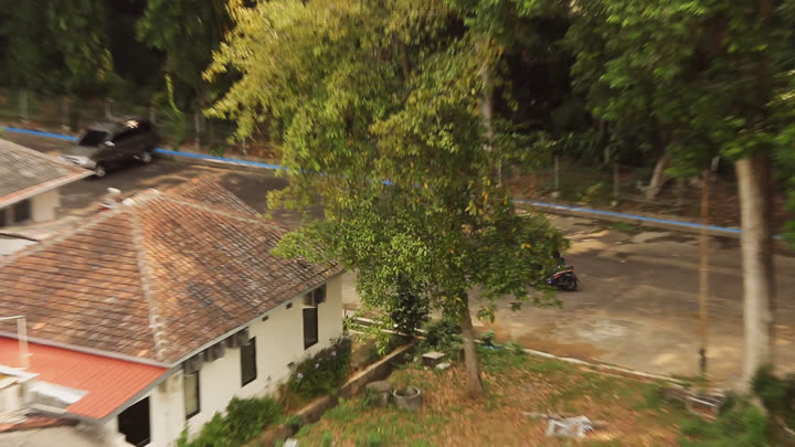 Zooming in on the Animal House