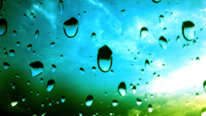 The Window